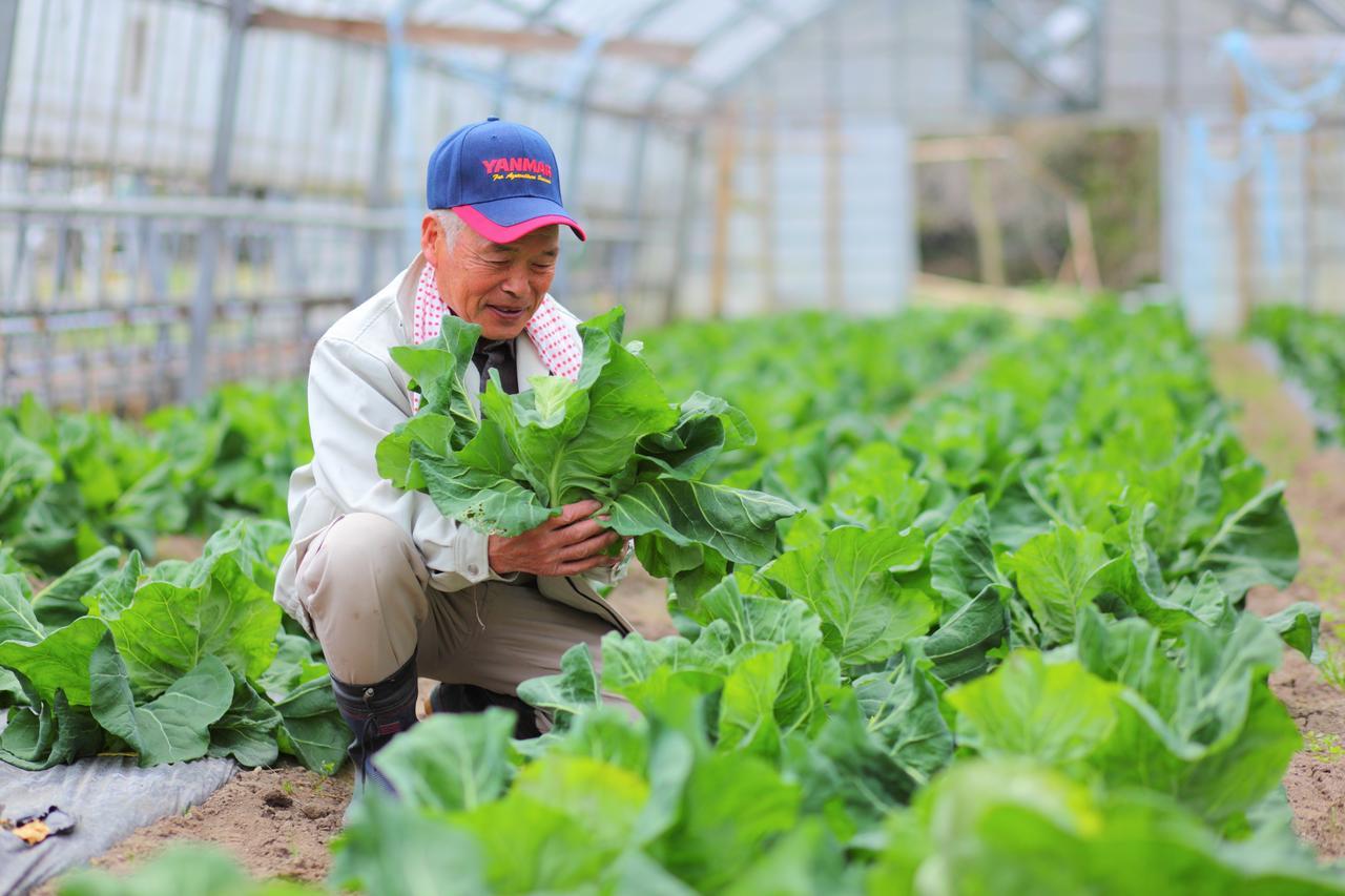 Oyado Nonohana Minamioguni Extérieur photo